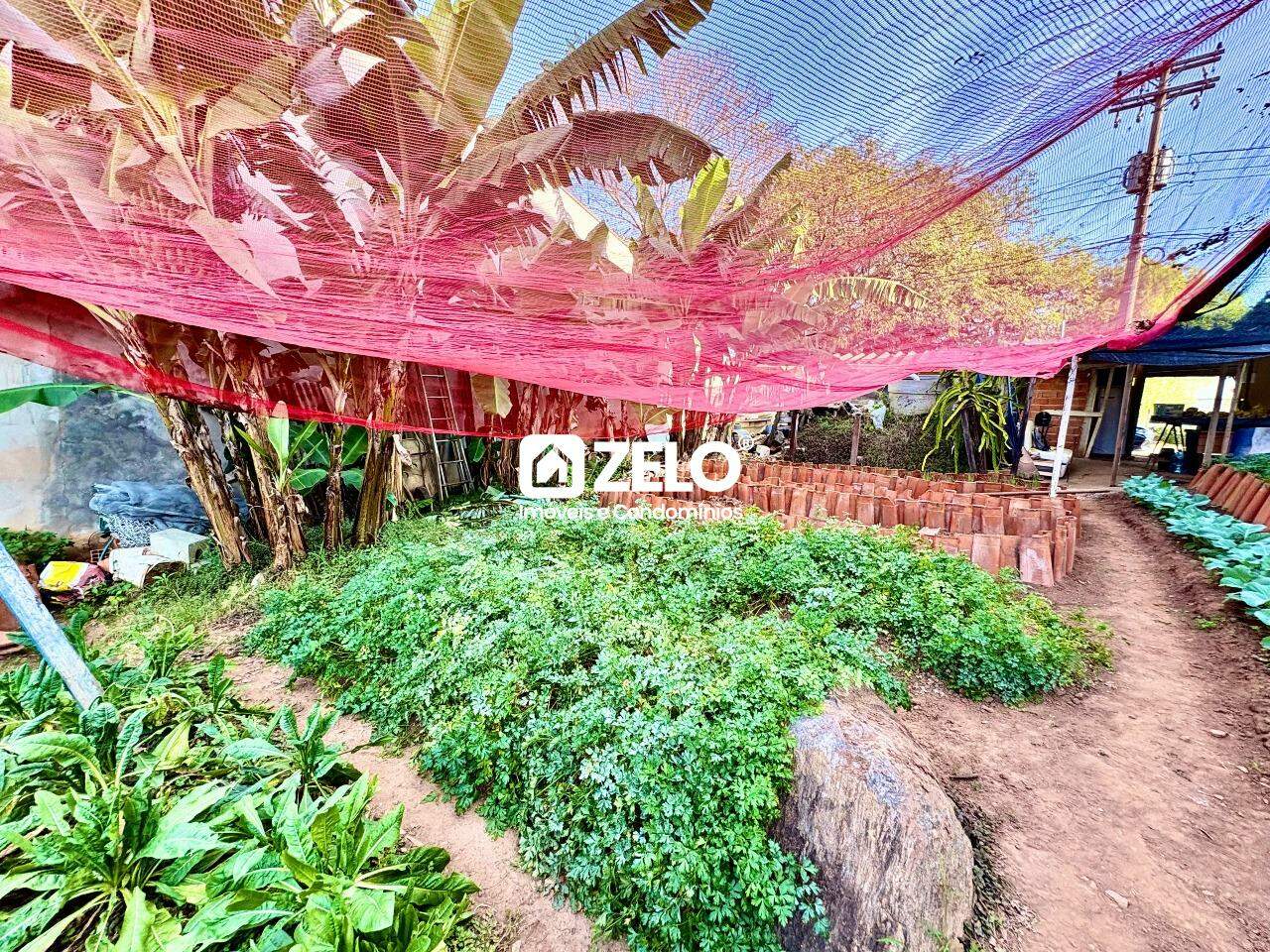 Terreno em Jardim Paraiso, Campinas - SP | Zelo Imóveis: 