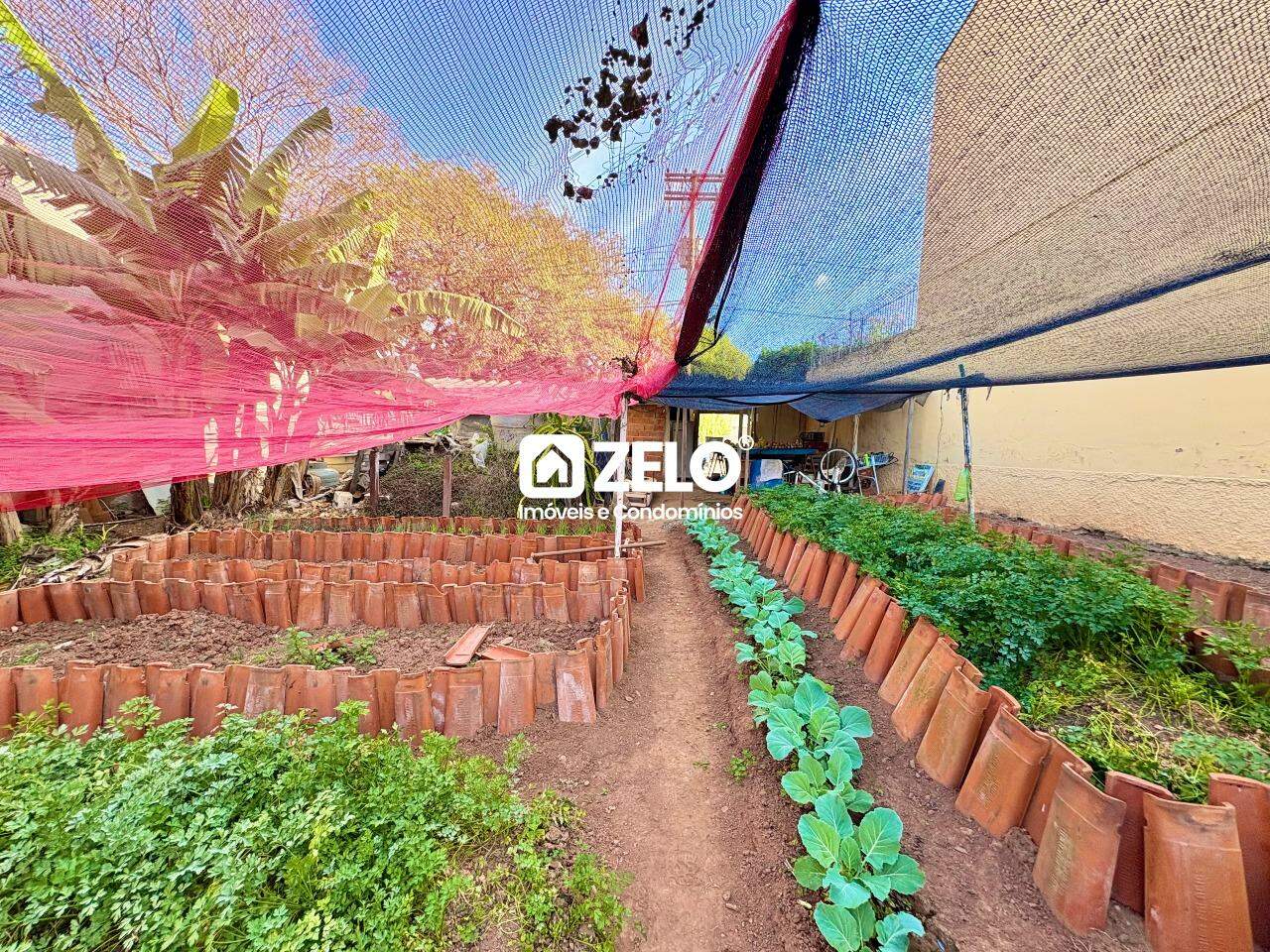Terreno em Jardim Paraiso, Campinas - SP | Zelo Imóveis: 