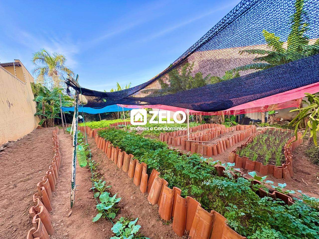 Terreno em Jardim Paraiso, Campinas - SP | Zelo Imóveis: 