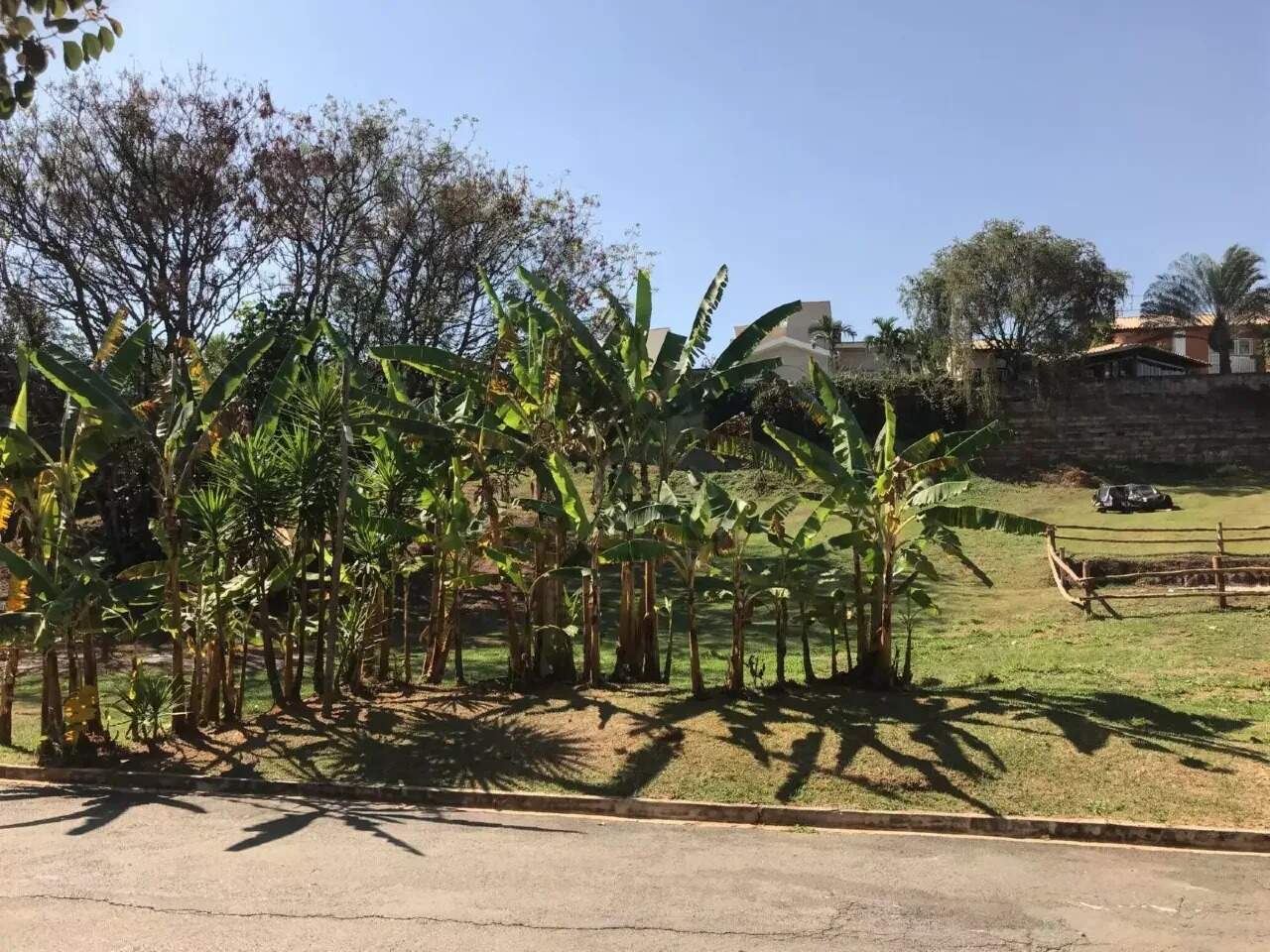Terreno em Bairro das Palmeiras, Campinas - SP | Zelo Imóveis: 