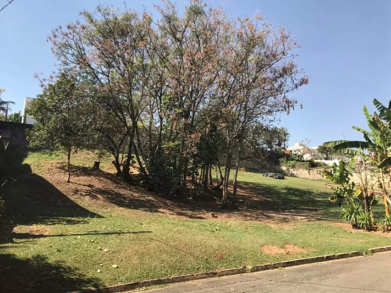 Terreno em Bairro das Palmeiras, Campinas - SP | Zelo Imóveis: 