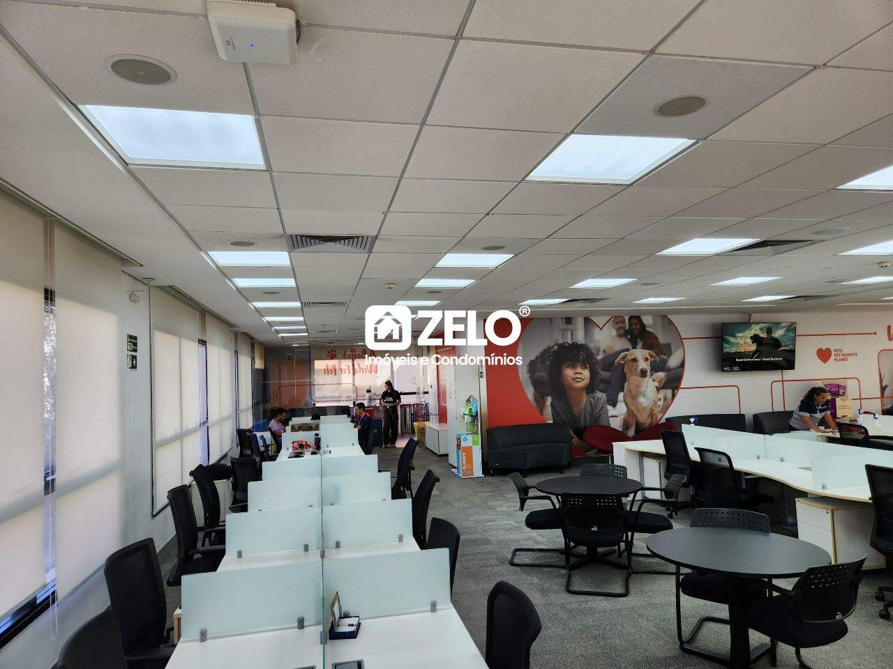 Sala em Parque dos Resedás, Campinas - SP | Zelo Imóveis: 