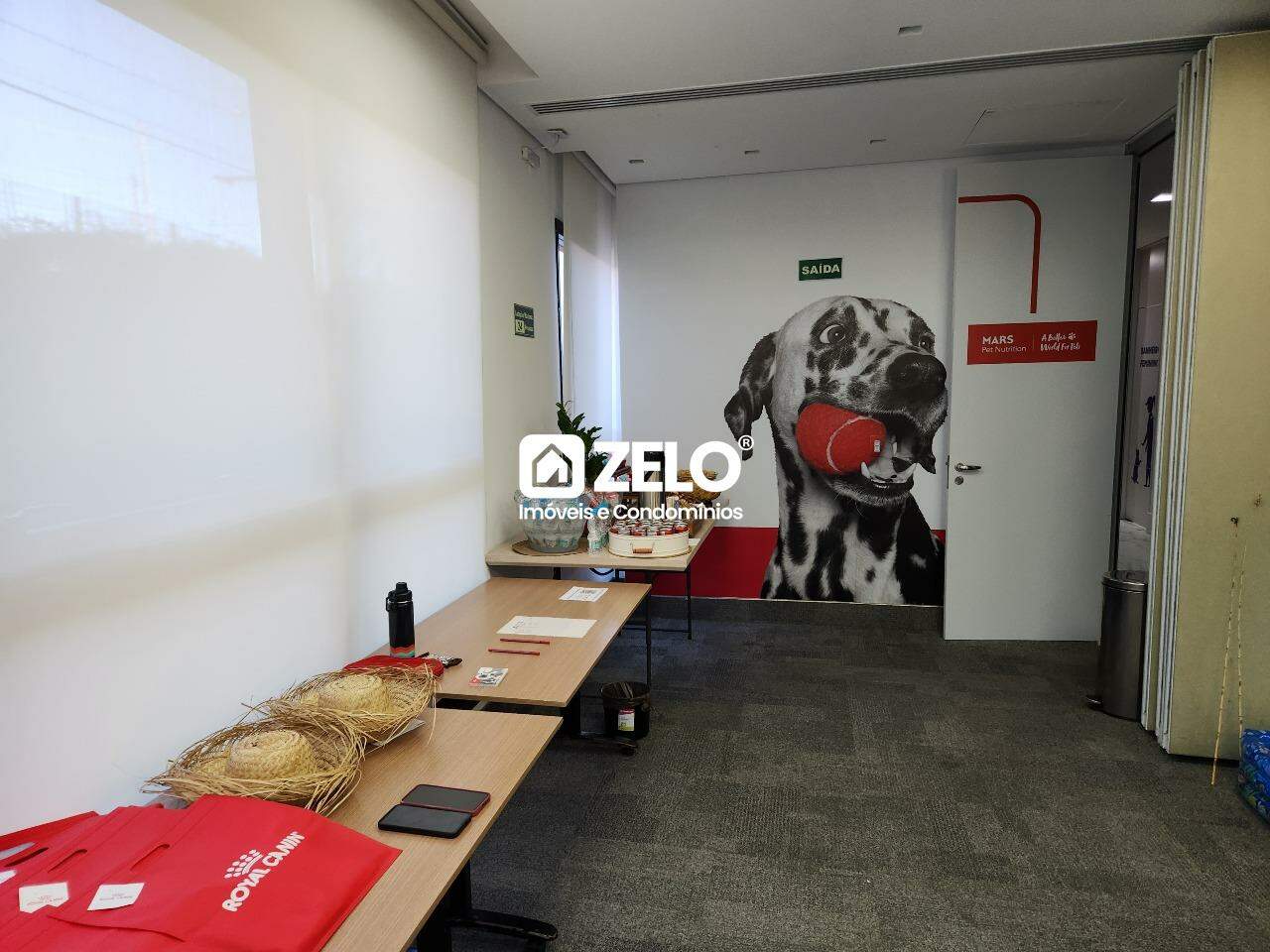Sala em Parque dos Resedás, Campinas - SP | Zelo Imóveis: 