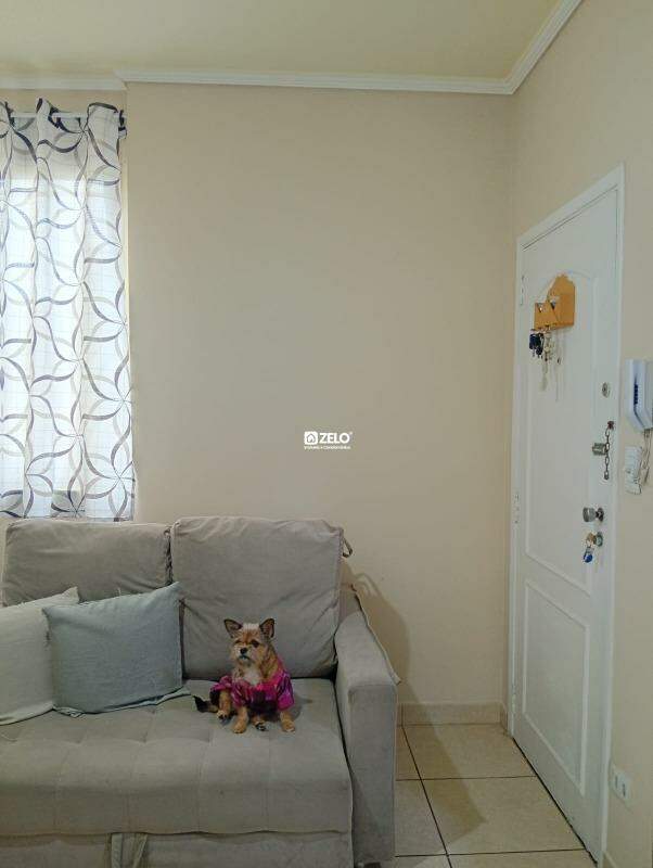 Apartamento em Centro, Campinas - SP | Zelo Imóveis: Apartamento à venda, Centro - Campinas/SP