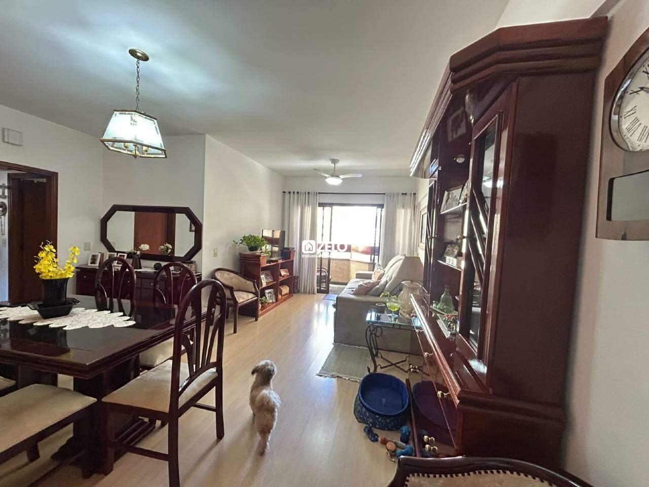 Apartamento em Centro, Campinas - SP | Zelo Imóveis: Apartamento à venda, Centro - Campinas/SP