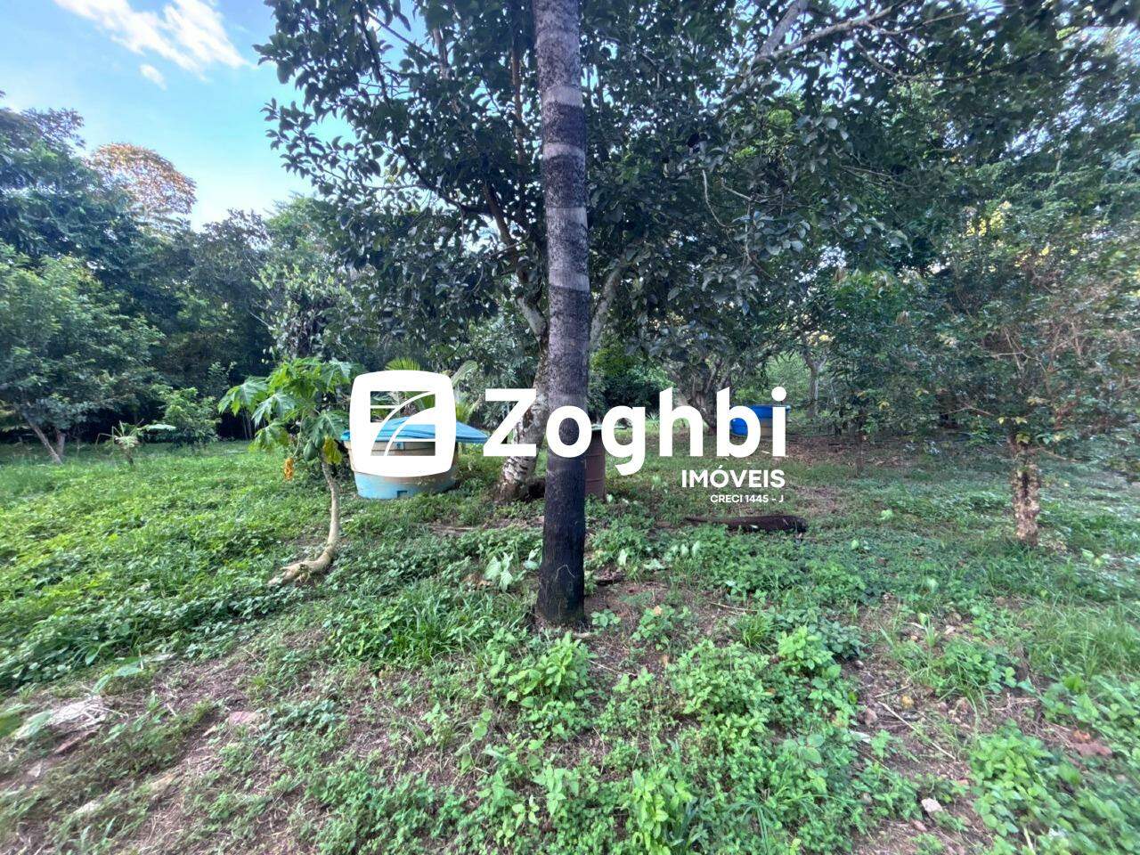 Chácara à venda no Loteamento Morada do Bosque: 