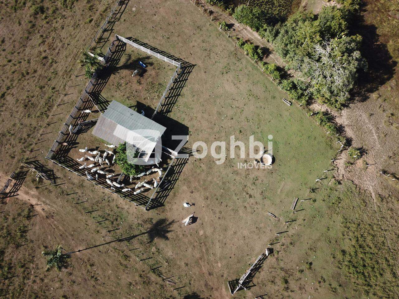 Fazenda à venda no Área Rural de Porto Velho: 