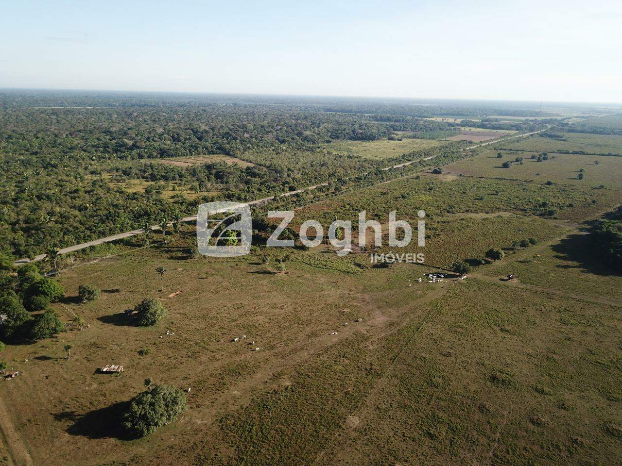 Fazenda à venda no Área Rural de Porto Velho: 
