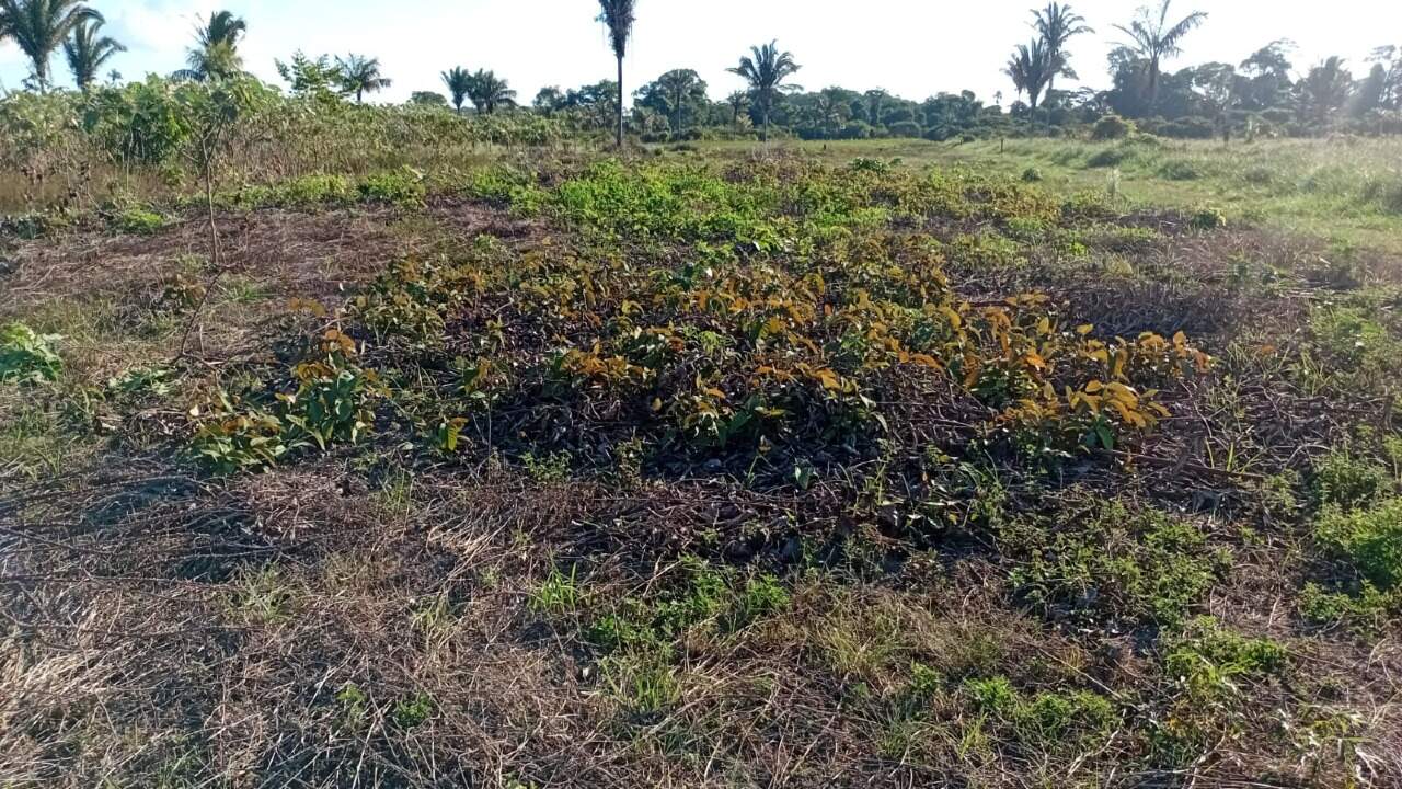 Chácara à venda no Área Rural de Porto Velho: 