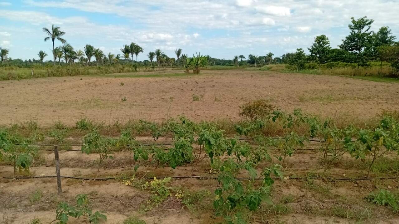 Chácara à venda no Área Rural de Porto Velho: 