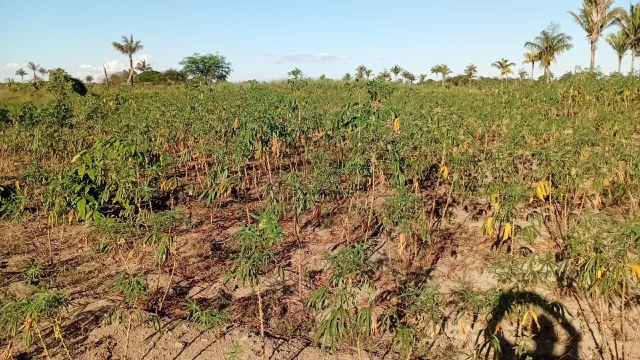 Chácara à venda no Área Rural de Porto Velho: 