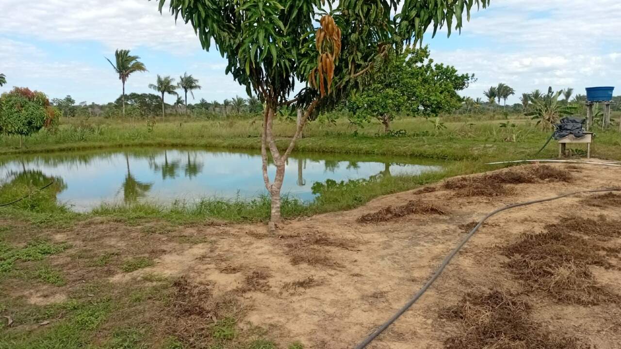Chácara à venda no Área Rural de Porto Velho: 