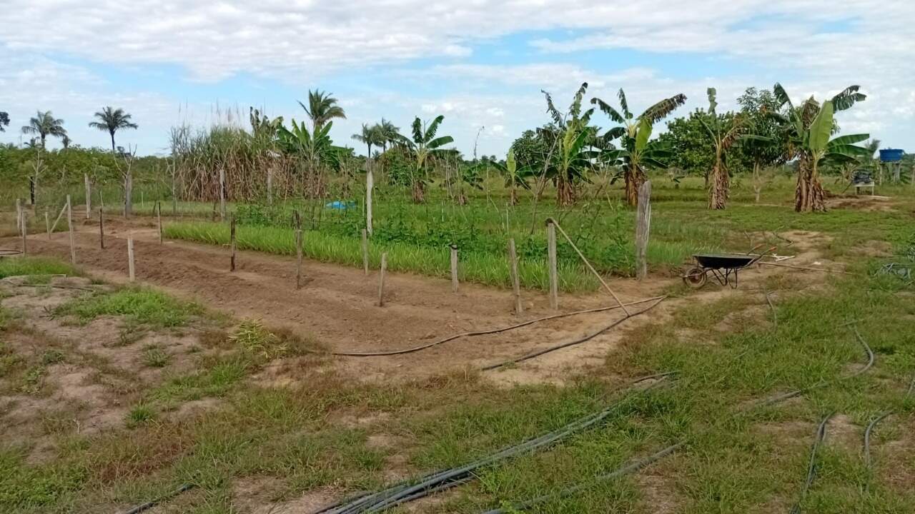 Chácara à venda no Área Rural de Porto Velho: 