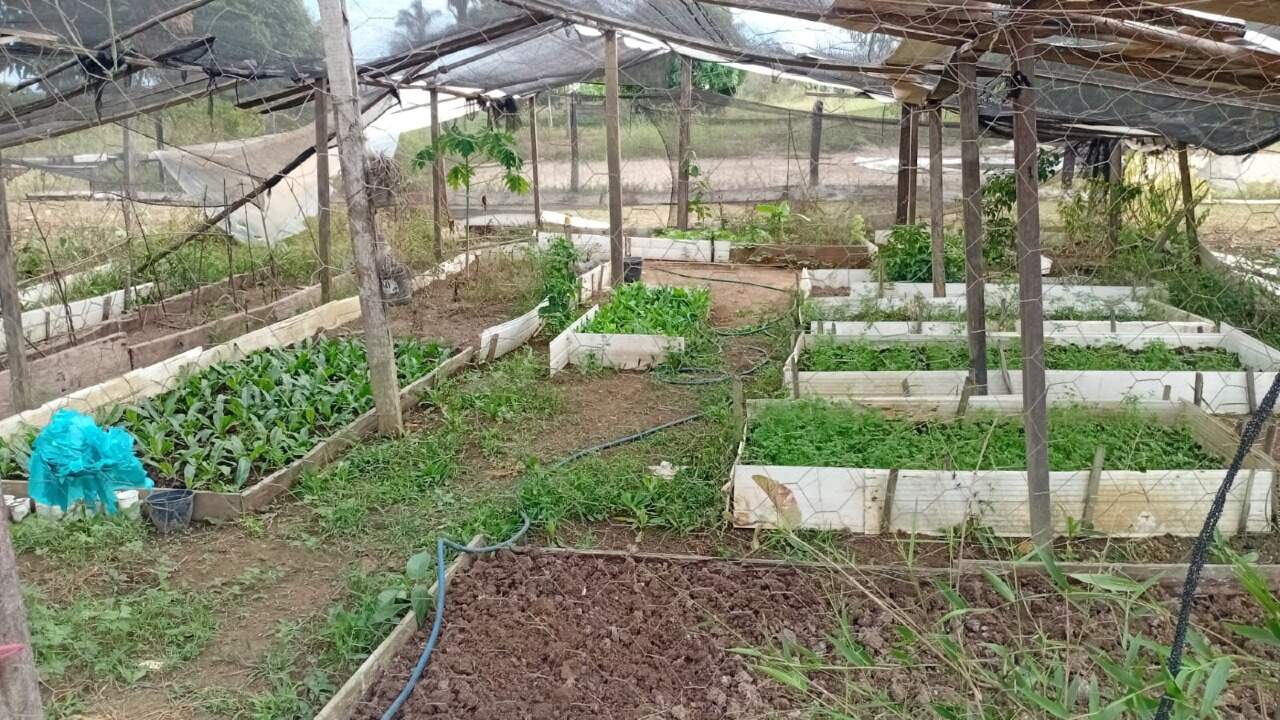 Chácara à venda no Área Rural de Porto Velho: 