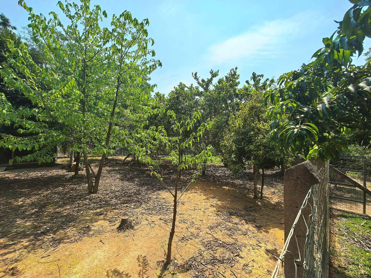 Chácara à venda no Área Rural de Porto Velho: 