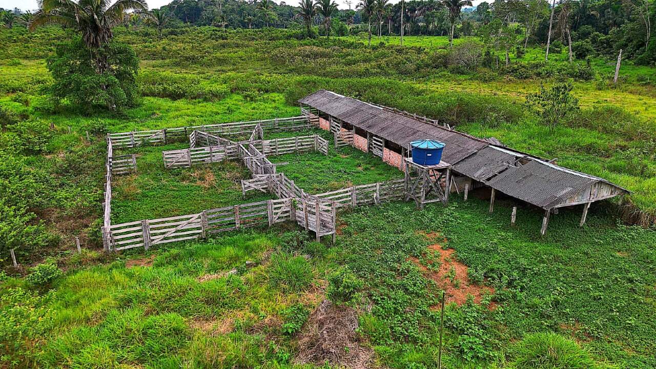 Fazenda à venda no Área Rural de Porto Velho: 