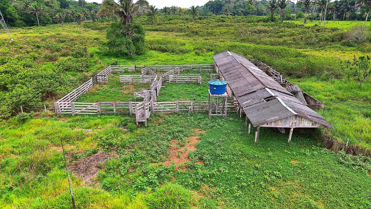 Fazenda à venda no Área Rural de Porto Velho: 