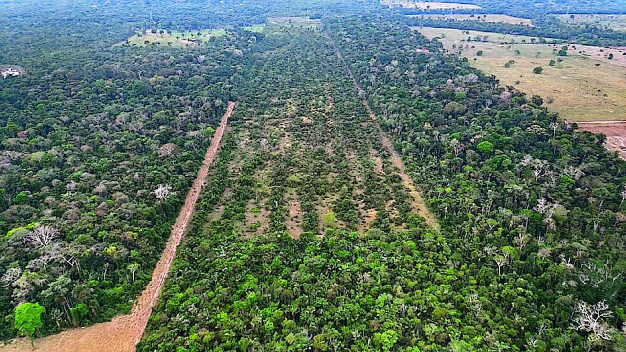 Fazenda à venda no Área Rural de Porto Velho: 