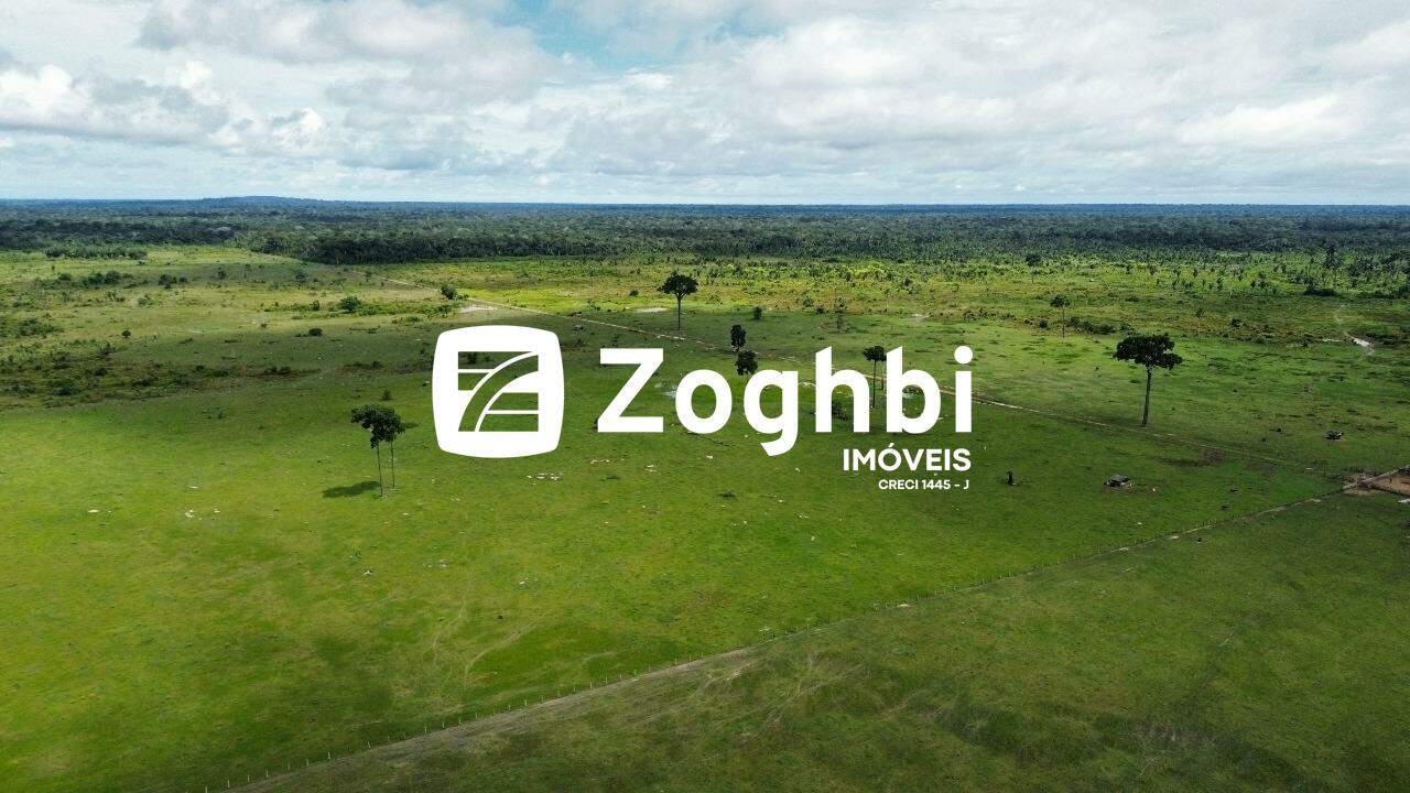 Fazenda à venda no Área Rural de Porto Velho: 