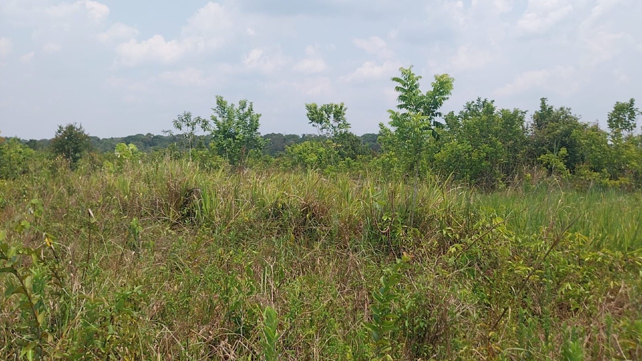 Fazenda à venda no Área Rural de Porto Velho: 
