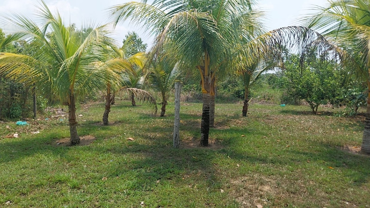 Fazenda à venda no Área Rural de Porto Velho: 