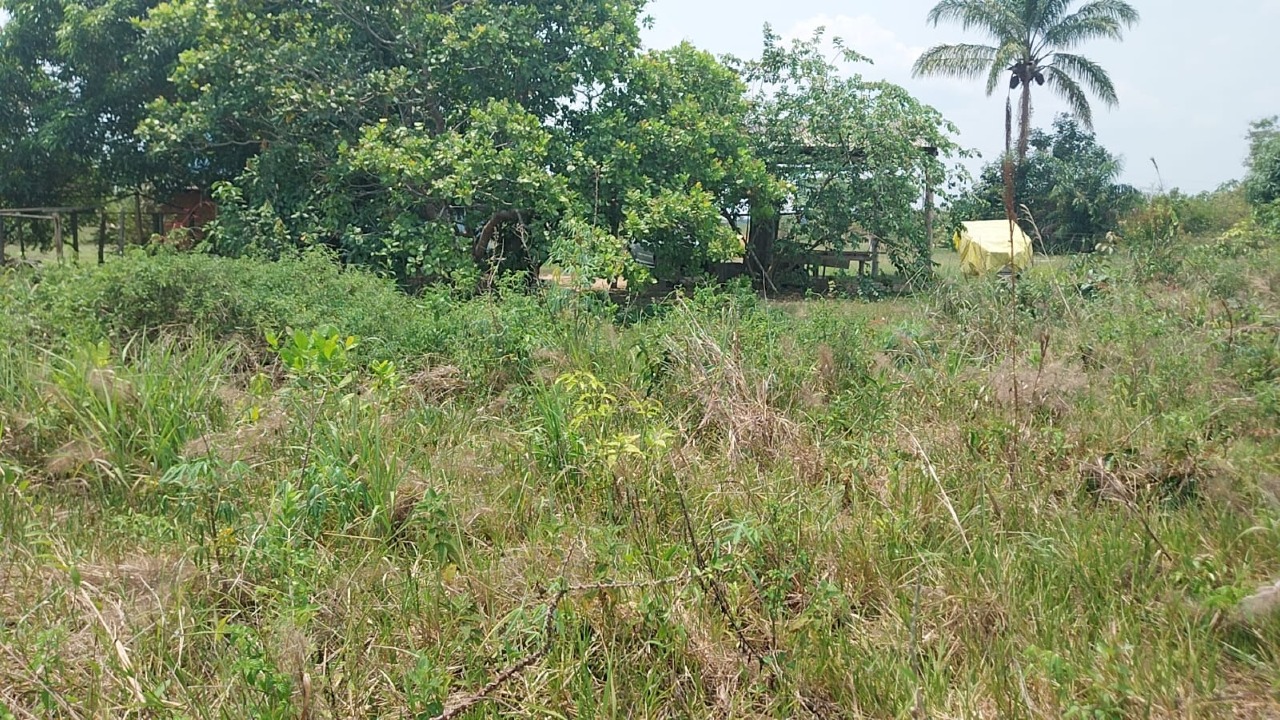 Fazenda à venda no Área Rural de Porto Velho: 