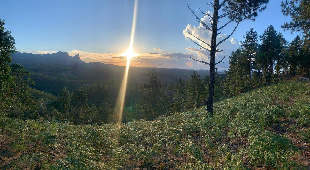 Área Rural à venda no Pedra Azul de Aracê: Área rural à venda em Pedra Azul - Domingos Martins
