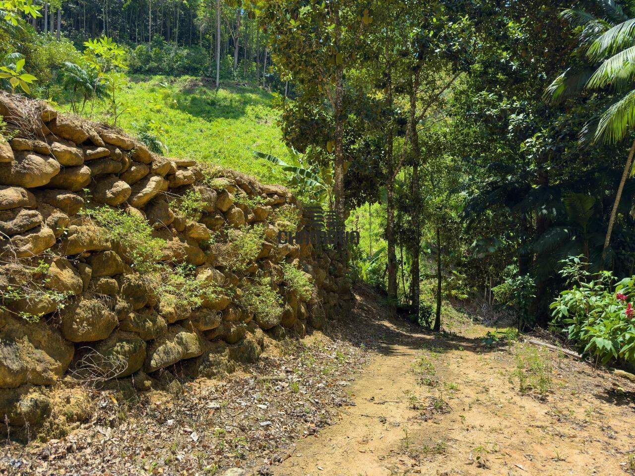 Área Rural à venda no Boa Esperança: Terreno em Zona Rural - Buenos Aires, Guarapari, ES