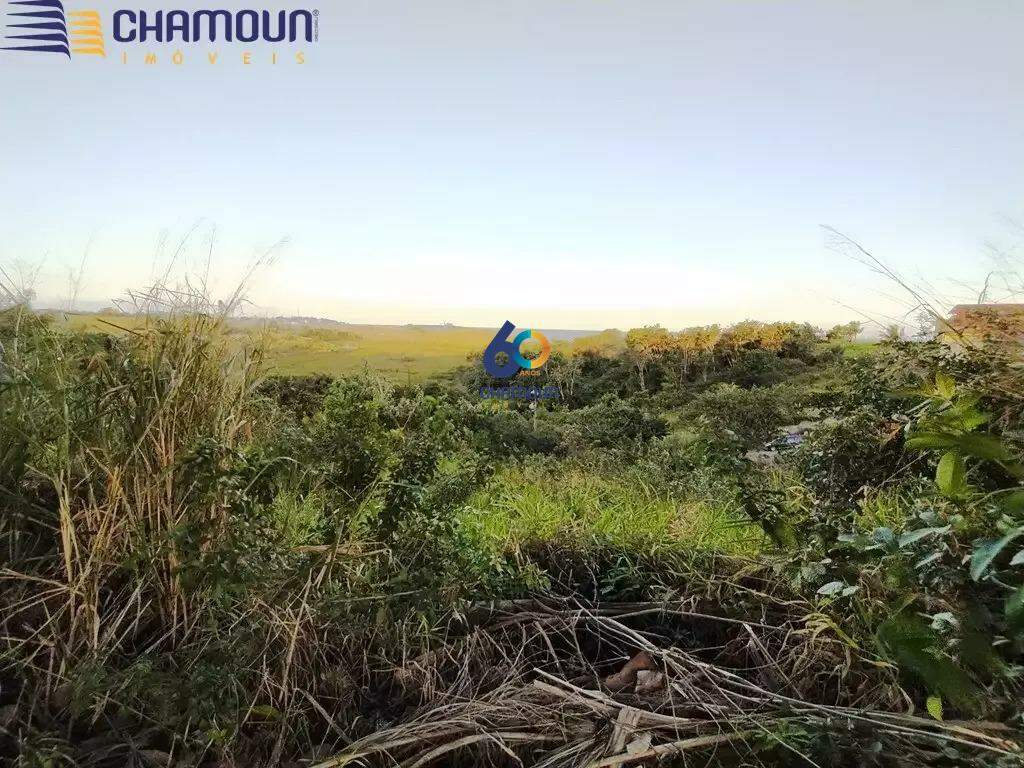 Terreno à venda no Meaipe: 