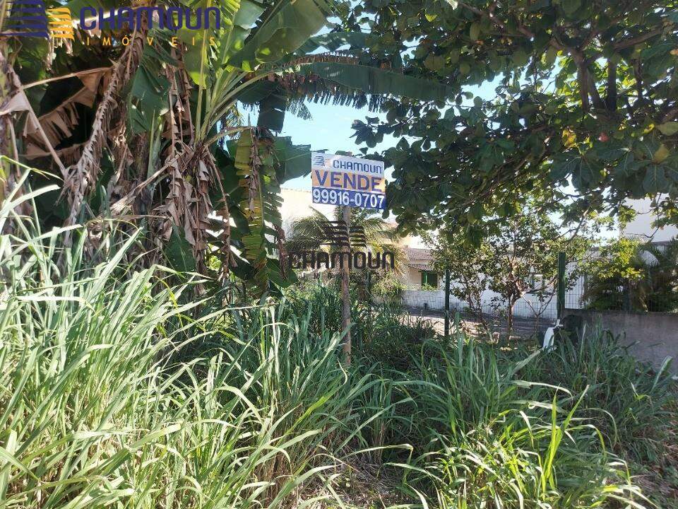 Terreno à venda no Enseada Azul: Área