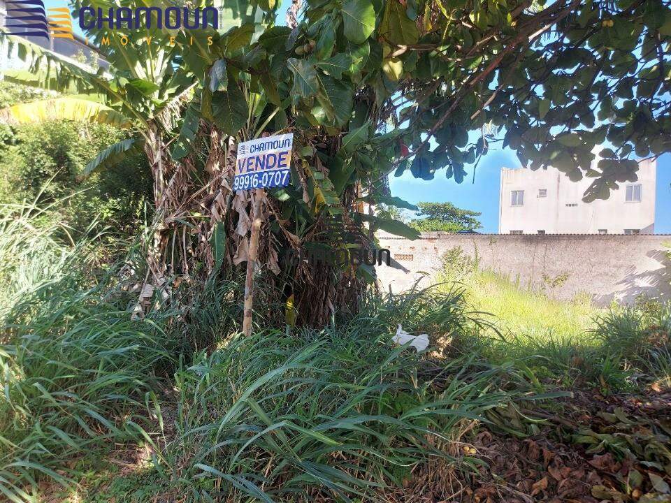 Terreno à venda no Enseada Azul: Área