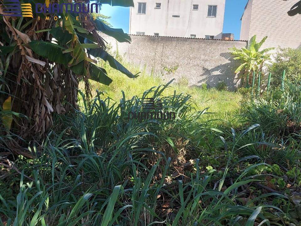 Terreno à venda no Enseada Azul: Área