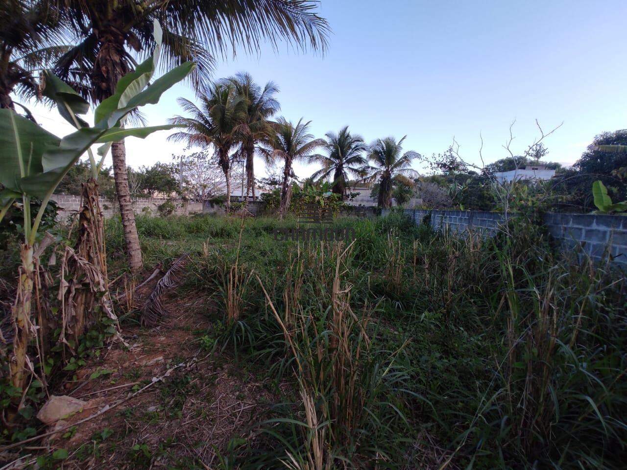 Terreno à venda no Perocão: Terreno à venda, Perocão - Guarapari/ES