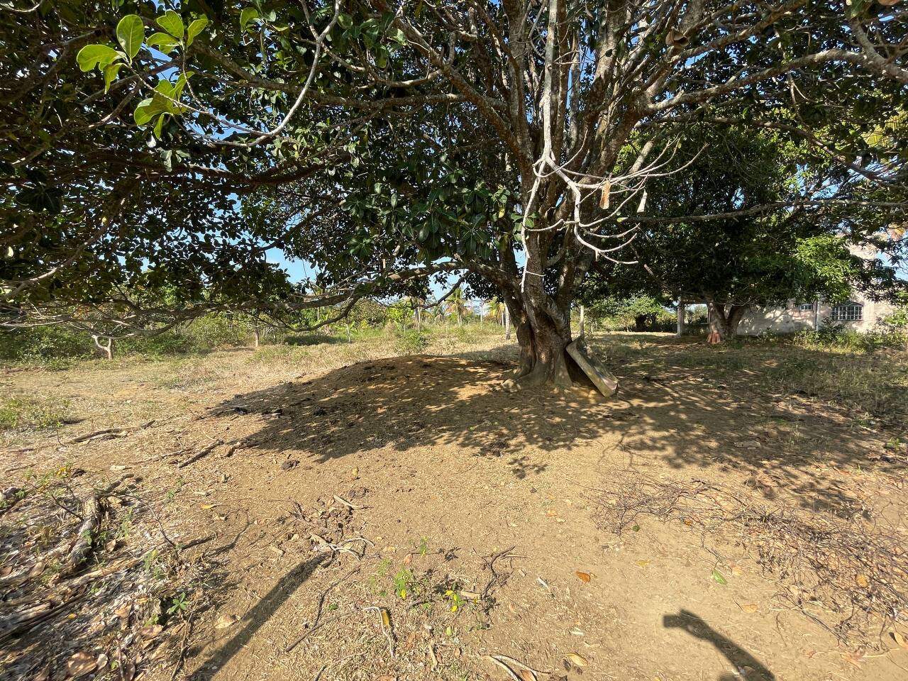 Área Rural à venda no Praia do Riacho: SITIO TOCA DA RAPOSA, 600 metros da entrada do condomínio Lagoa Da Praia