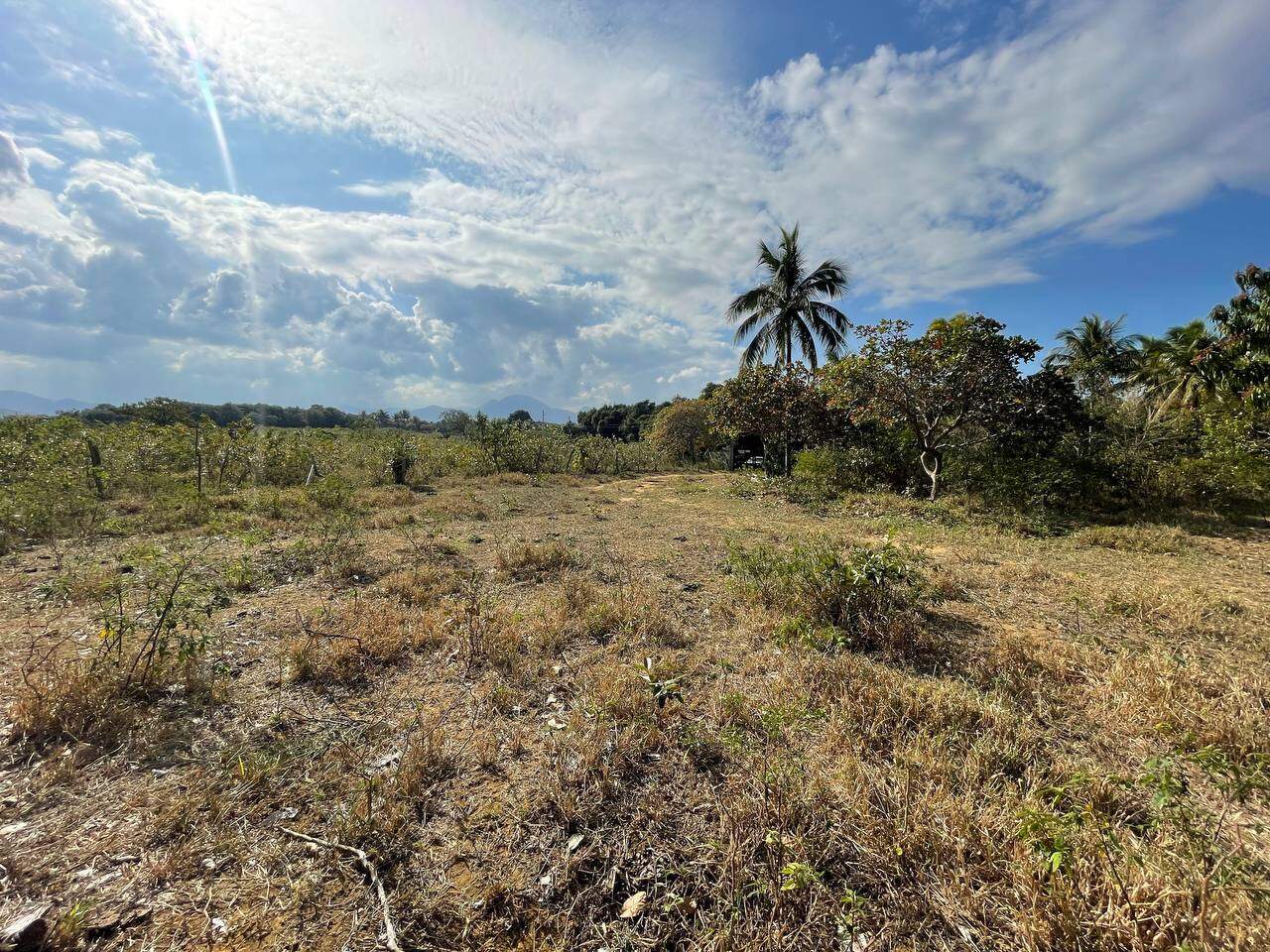 Área Rural à venda no Praia do Riacho: SITIO TOCA DA RAPOSA, 600 metros da entrada do condomínio Lagoa Da Praia