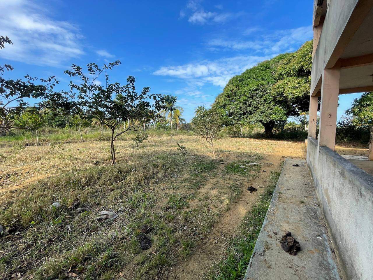 Área Rural à venda no Praia do Riacho: SITIO TOCA DA RAPOSA, 600 metros da entrada do condomínio Lagoa Da Praia
