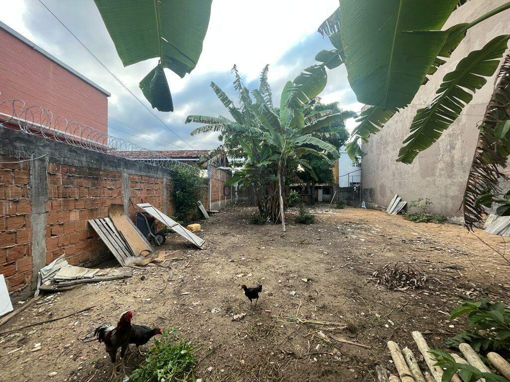 Lote à venda no Praia do Morro: Terreno a venda - Praia do Morro Guarapari