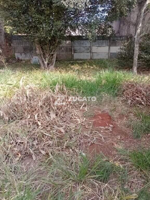 Casa à venda no Fabrício: 