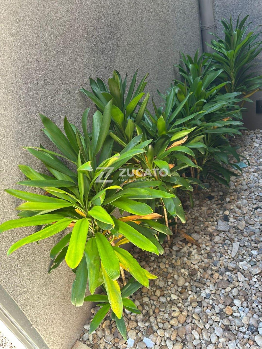 Casa à venda no Parque das Laranjeiras: 