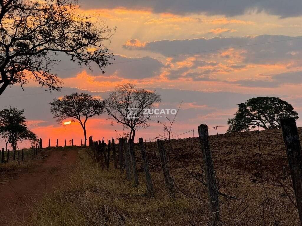 Chácara à venda no Zona Rural: 