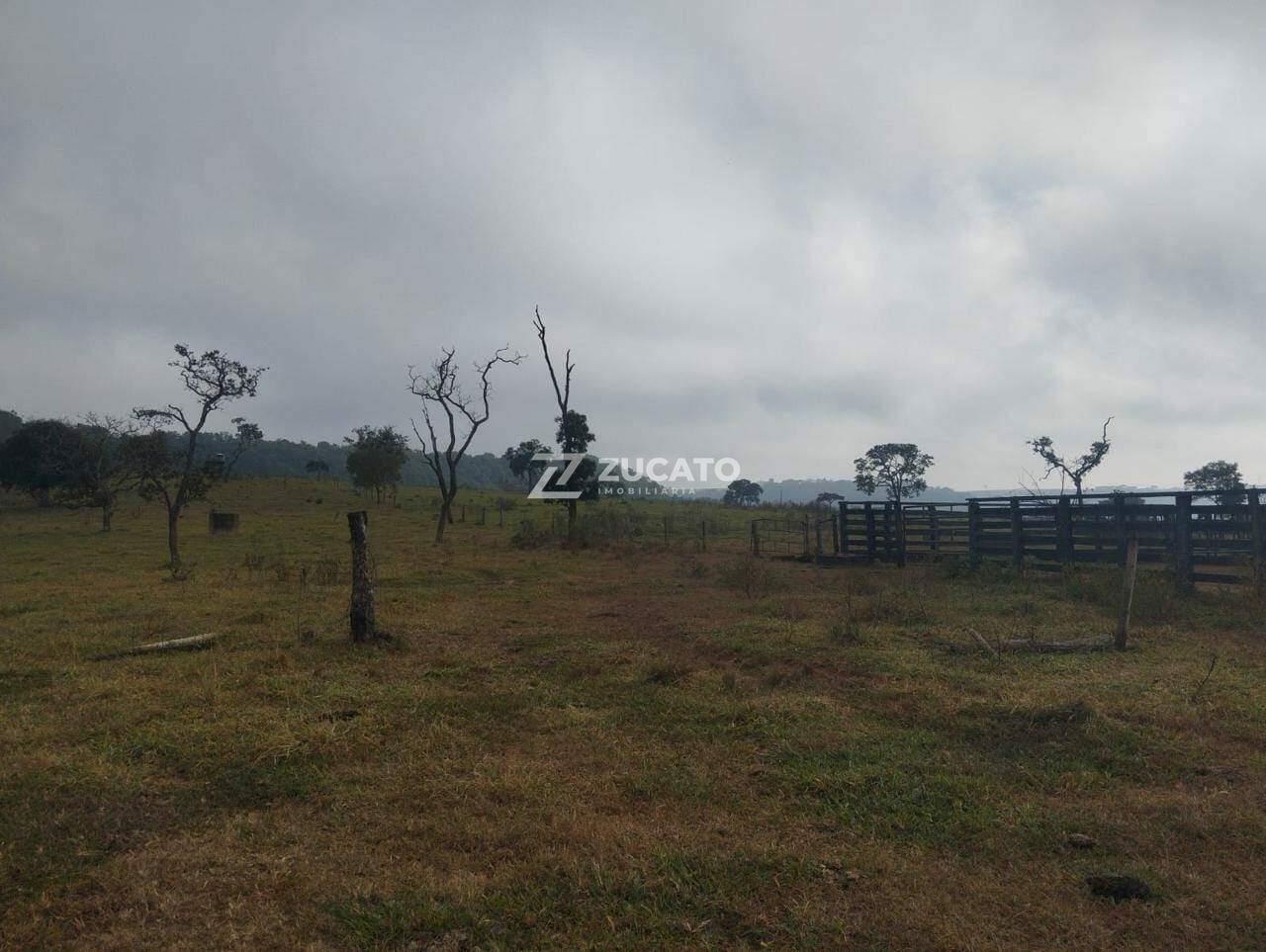 Fazenda à venda no Zona Rural: 