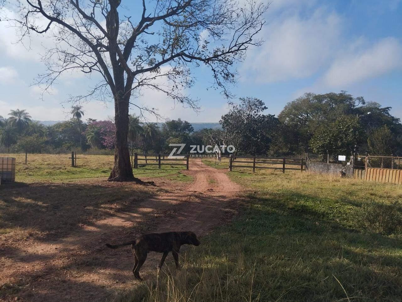 Fazenda à venda no Zona Rural: 