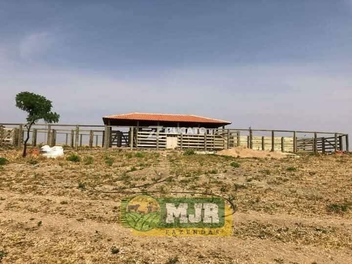 Fazenda à venda no Zona Rural: 