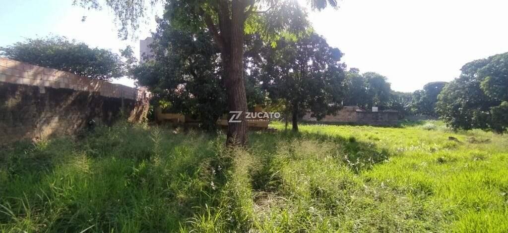 Terreno à venda no Mercês: 