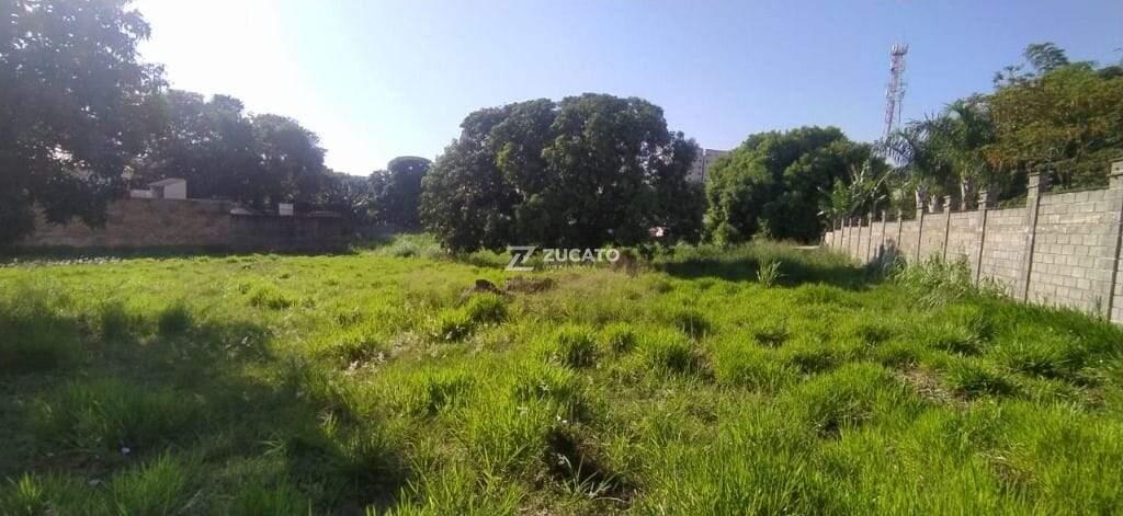 Terreno à venda no Mercês: 