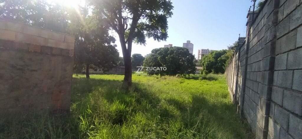 Terreno à venda no Mercês: 