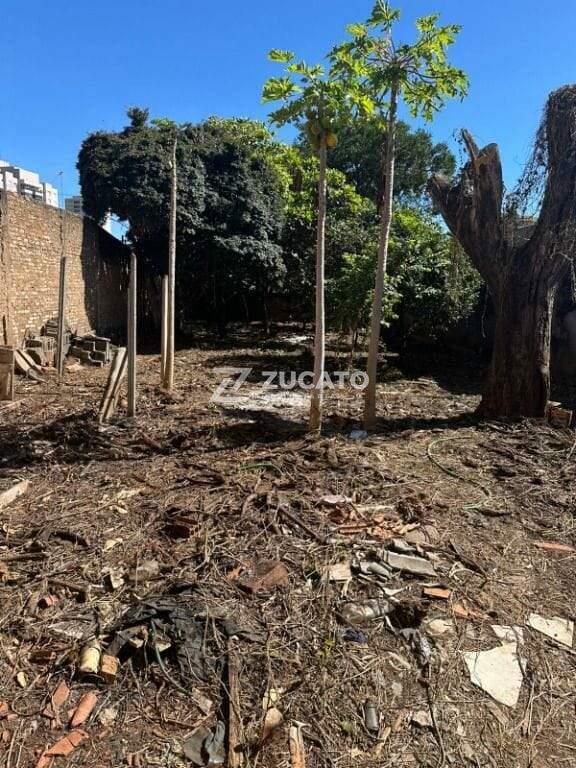 Terreno à venda no Mercês: 