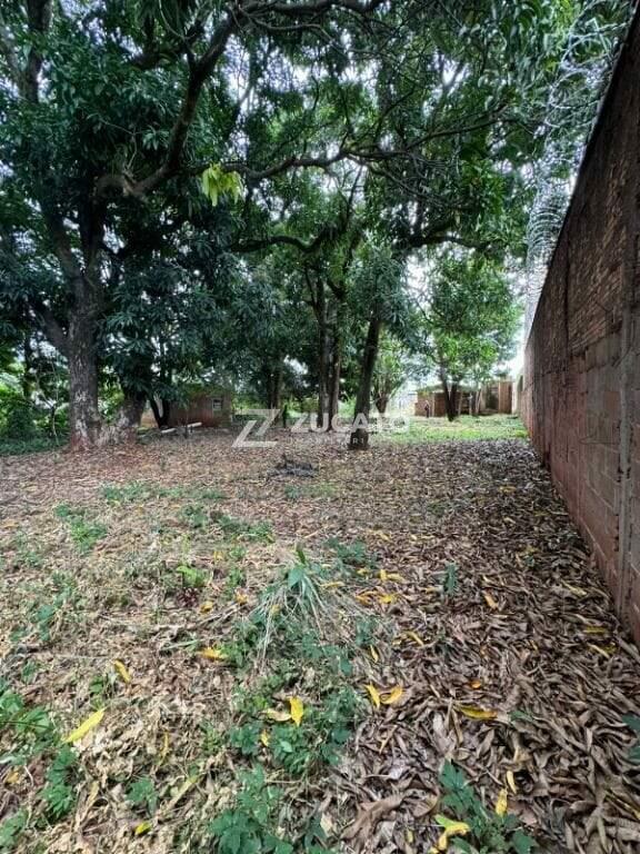 Terreno à venda no Santa Marta: 