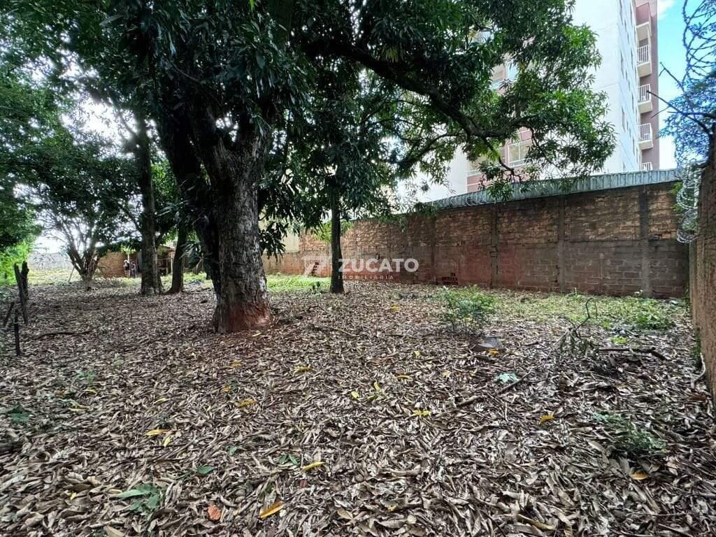 Terreno à venda no Santa Marta: 