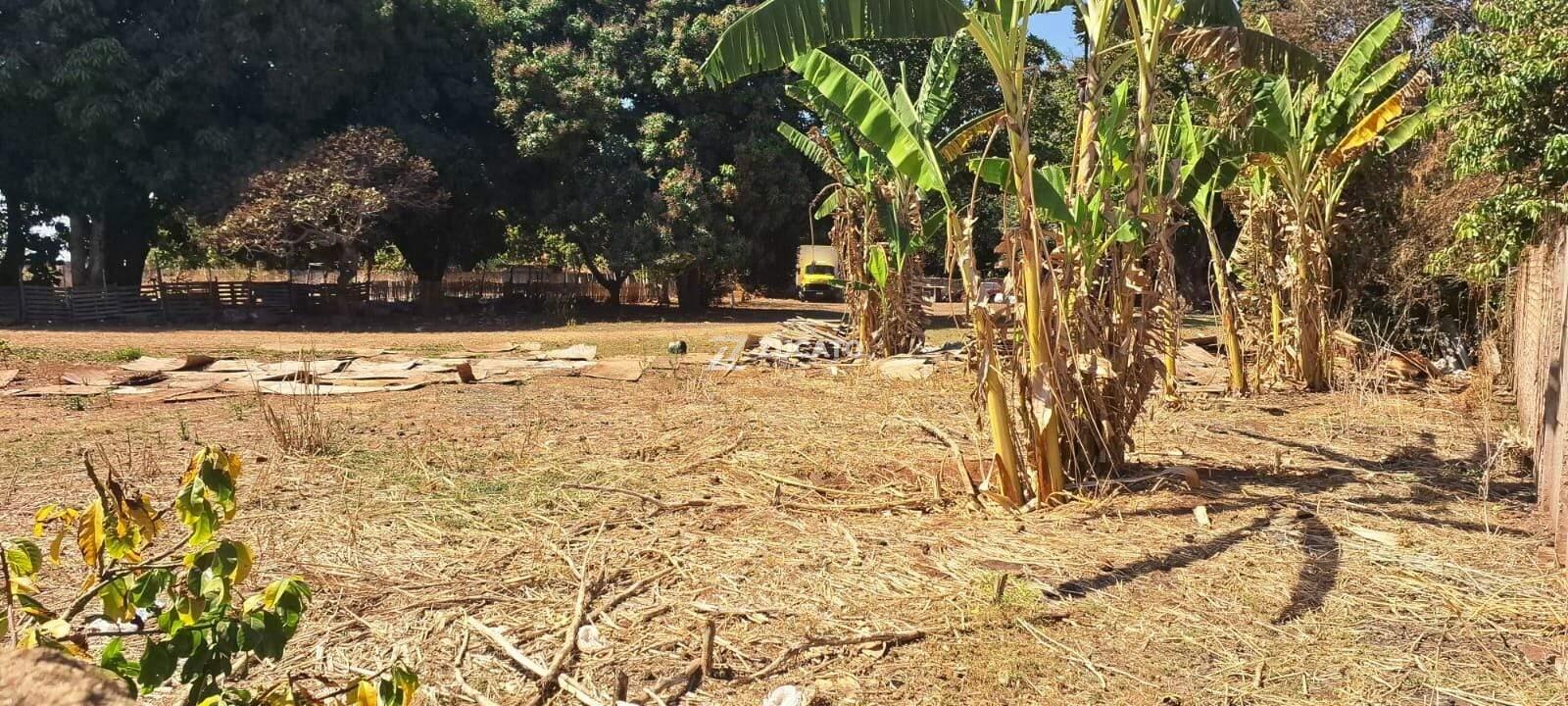 Terreno à venda no Amoroso Costa: 